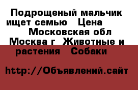 Подрощеный мальчик ищет семью › Цена ­ 22 000 - Московская обл., Москва г. Животные и растения » Собаки   